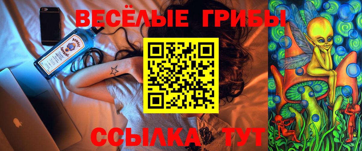 Псилоцибиновые грибы Psilocybine cubensis Кимры